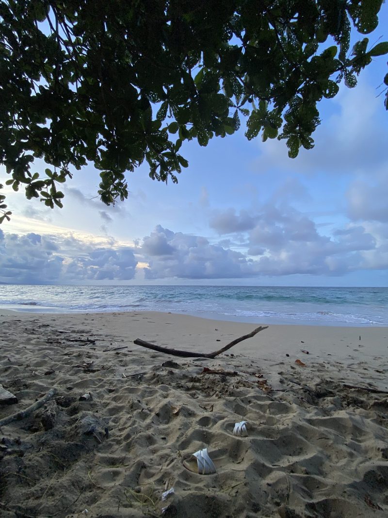 A beach at dawn with driftwood and small pieces of debris on the sand